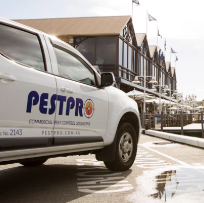 Screen Shot 2022-02-10 at 5.28.59 pm